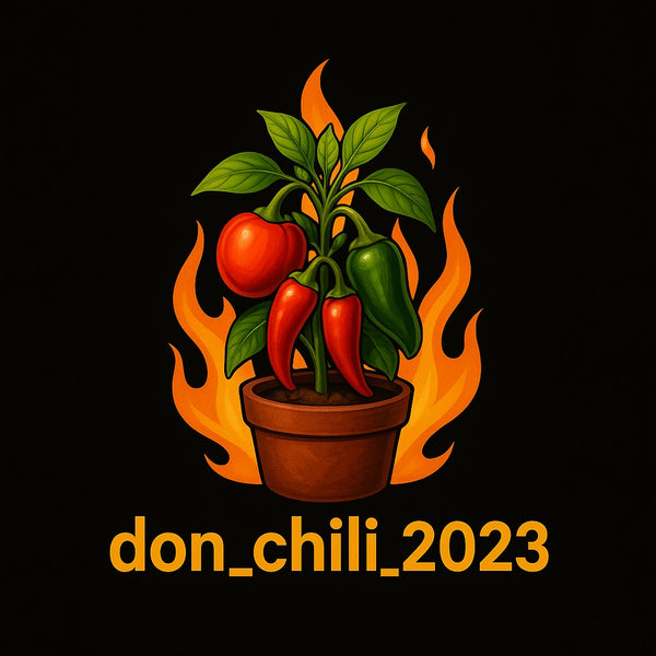 don_chili_2023