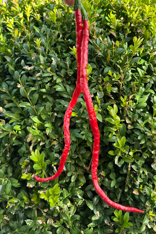 Thunder Mountain Longhorn 2025